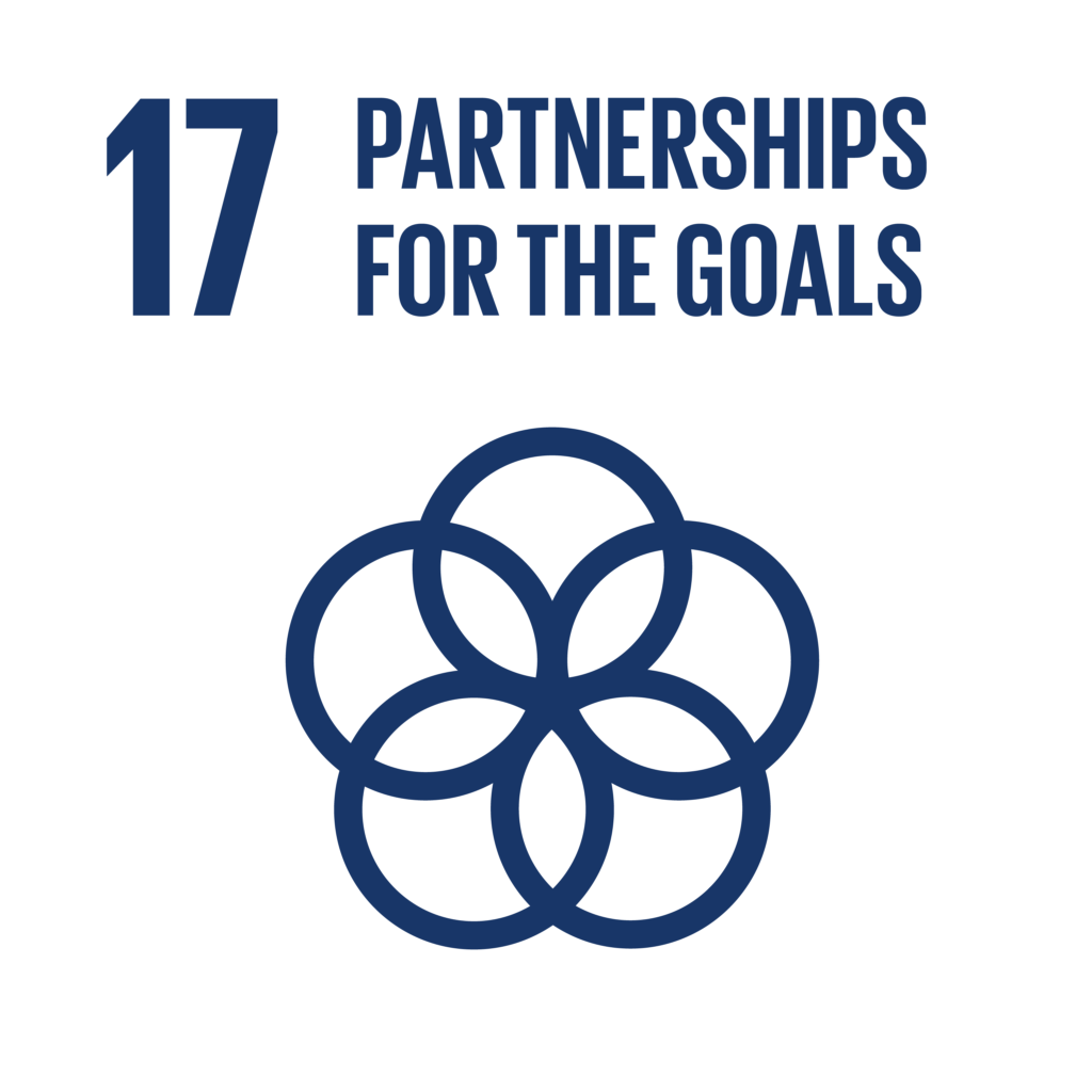 agenda 2030 partnerships for the goals