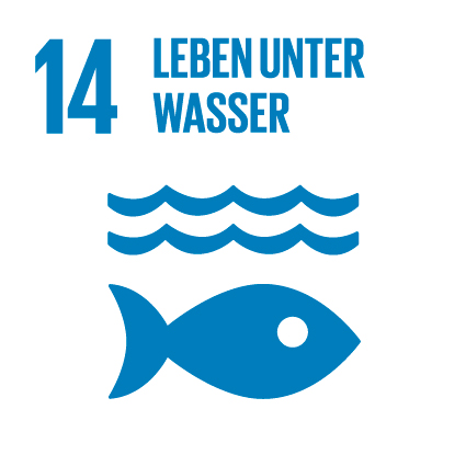 Agenda 2030 Leben unter Wasser