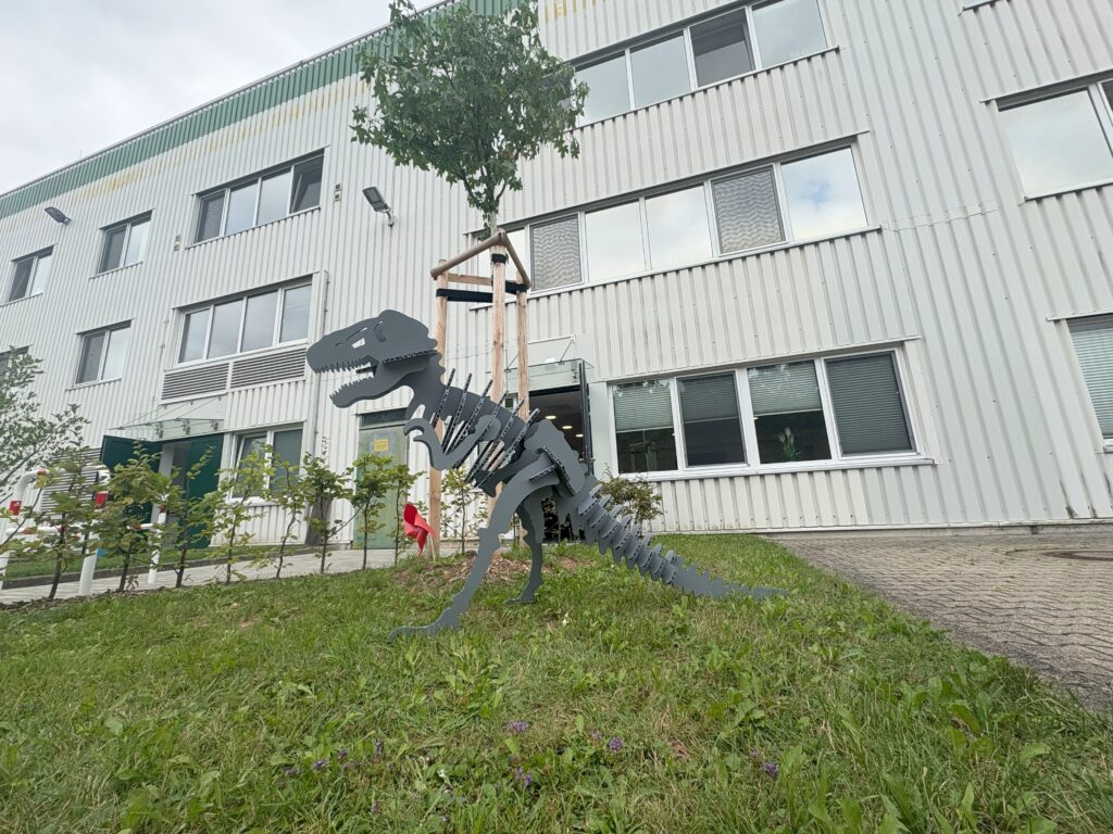 Unser Dinoskelett aus con-pearl